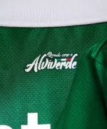 Camisa Palmeiras Sócio Torcedor 25/26 - Torcedor Puma Masculina - Verde e Branca - Listrada - Imagem 4