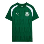 Camisa Palmeiras Pré-jogo 24/25 - Torcedor Puma Masculina - Verde
