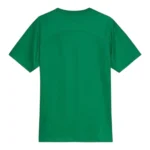 Camisa Palmeiras Treino 25/26 - Torcedor Puma Masculina - Verde - Imagem 2