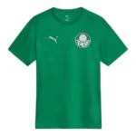 Camisa Palmeiras Treino 25/26 - Torcedor Puma Masculina - Verde