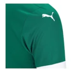 Camisa Palmeiras I 25/26 - Torcedor Puma Masculina - Verde - Imagem 7